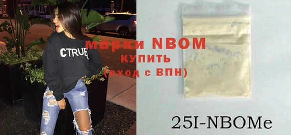 шишки Медногорск