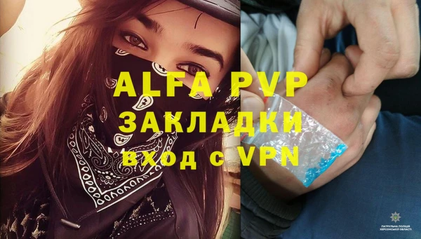 ешки Медвежьегорск
