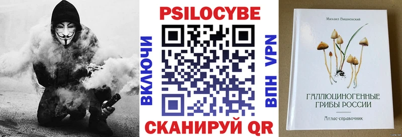 Купить закладки  Заозёрный  Псилоцибиновые грибы мухоморы 